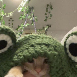 Meet your Posher, Lillian